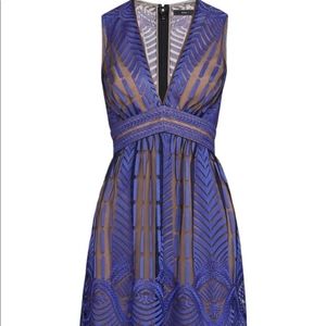 BCBG Max Azria Blue Sheath Dress with Nude Lining, Size 8